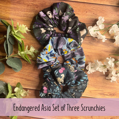 Endangered Asia Scrunchie Set