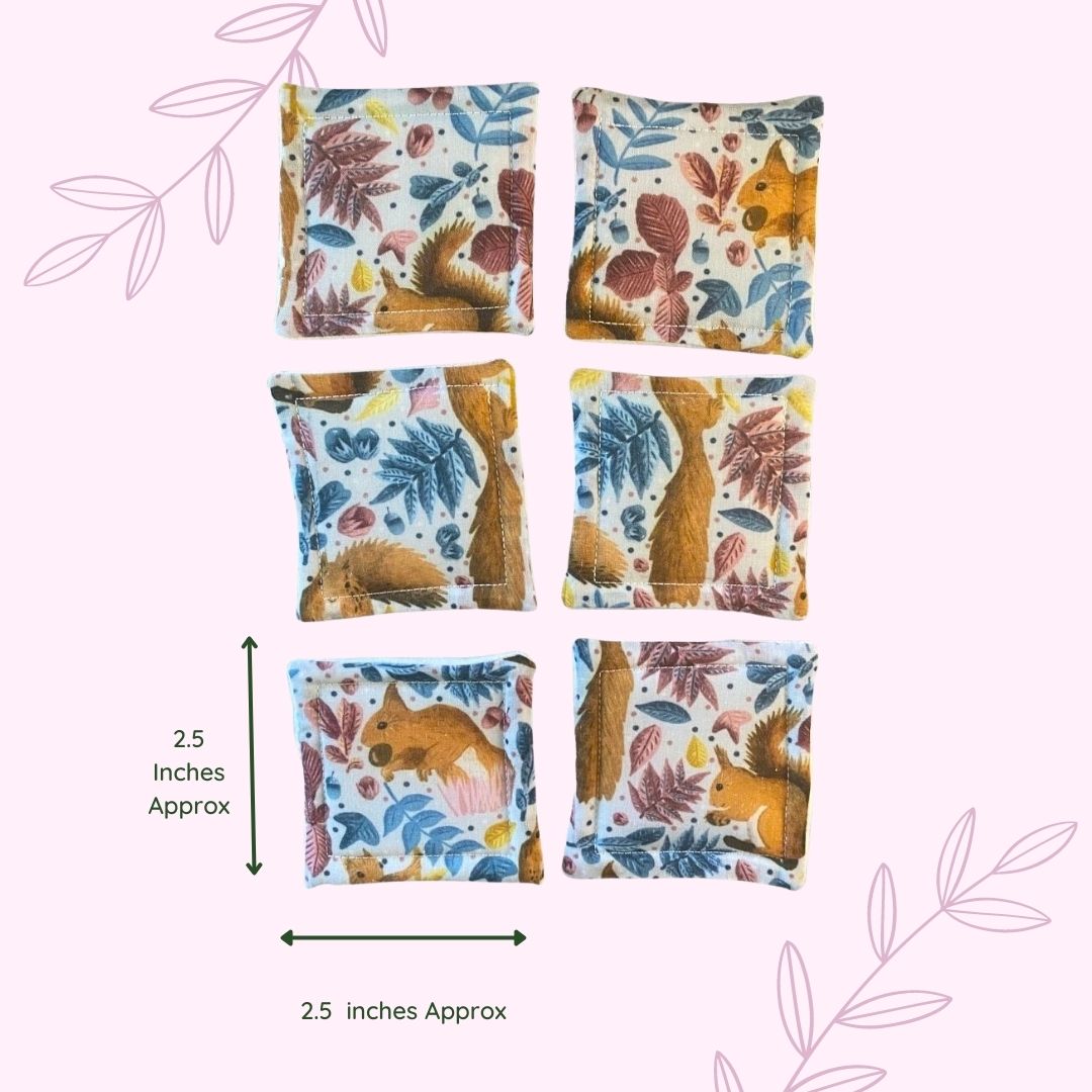 Reusable cotton pads with red squirrel design, perfect gift under £5 for nature enthusiasts.