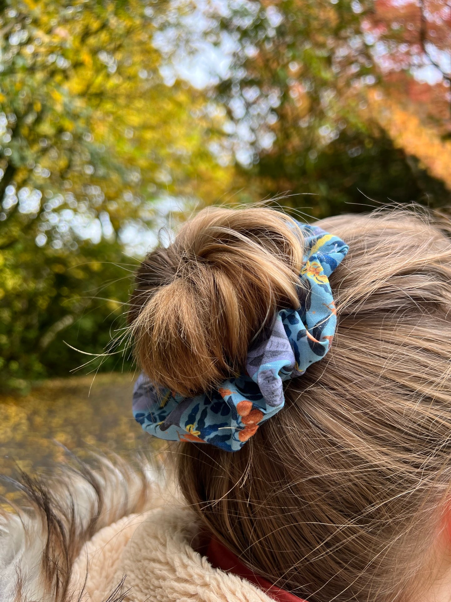 Endangered Asia Scrunchie Set