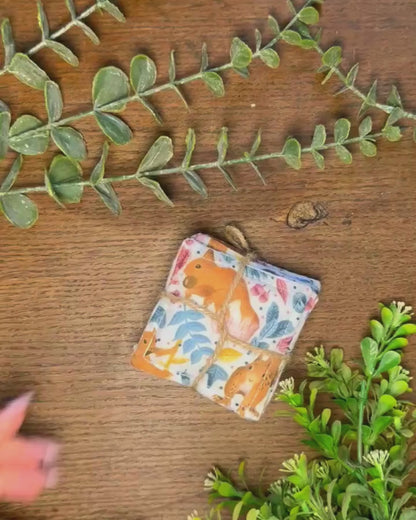 Red Squirrel Reusable Skincare Pads