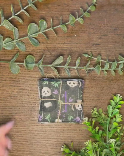 Giant Panda Skincare Pads