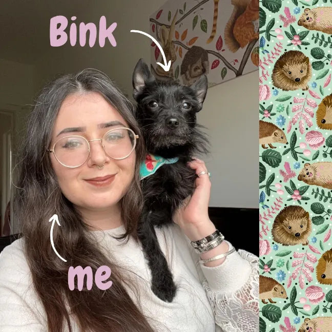A welsh artist woman holds a small black dog wearing a colorful bandana, with pink text labels pointing to them. The right side shows a fabric pattern swatch featuring hedgehogs and floral motifs on a light green background.