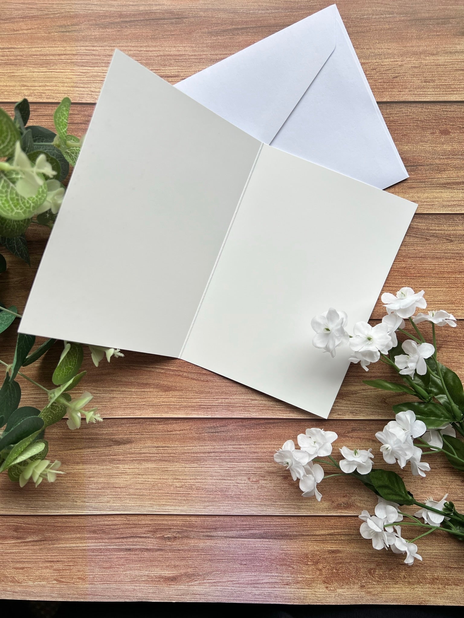 blank panda greetings card with white envelope
